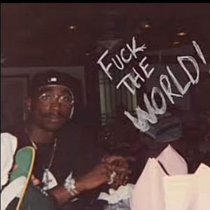 Meet your Posher, Panda